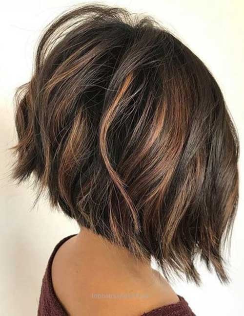 Chocolate Brown with Highlights