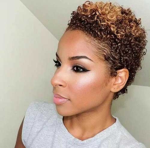 Short Natural Afro Hairstyle for Black Women