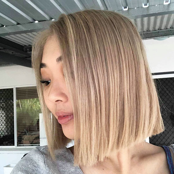 Short Straight Hairstyle 1