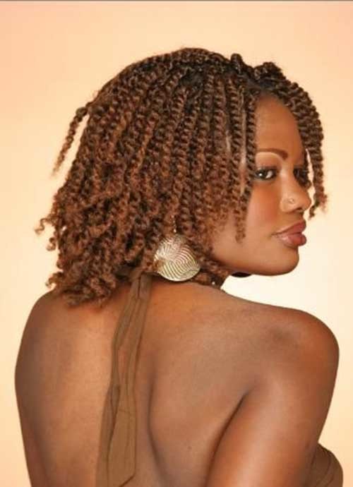 Afro Twist Braid Hairstyle