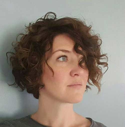 Curly Brown Short Hairstyle