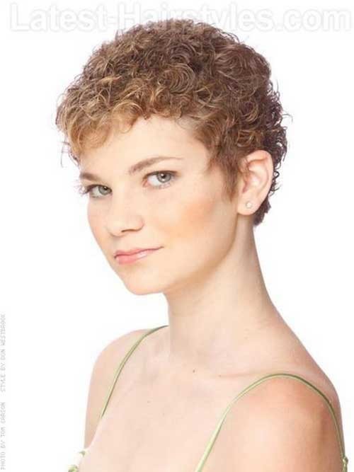 Short Haircuts For Curly Hair 11