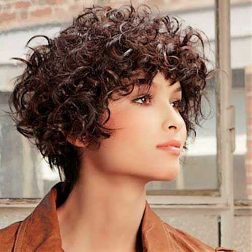 Short Bob for Frizzy Curly Dark Brown Hair