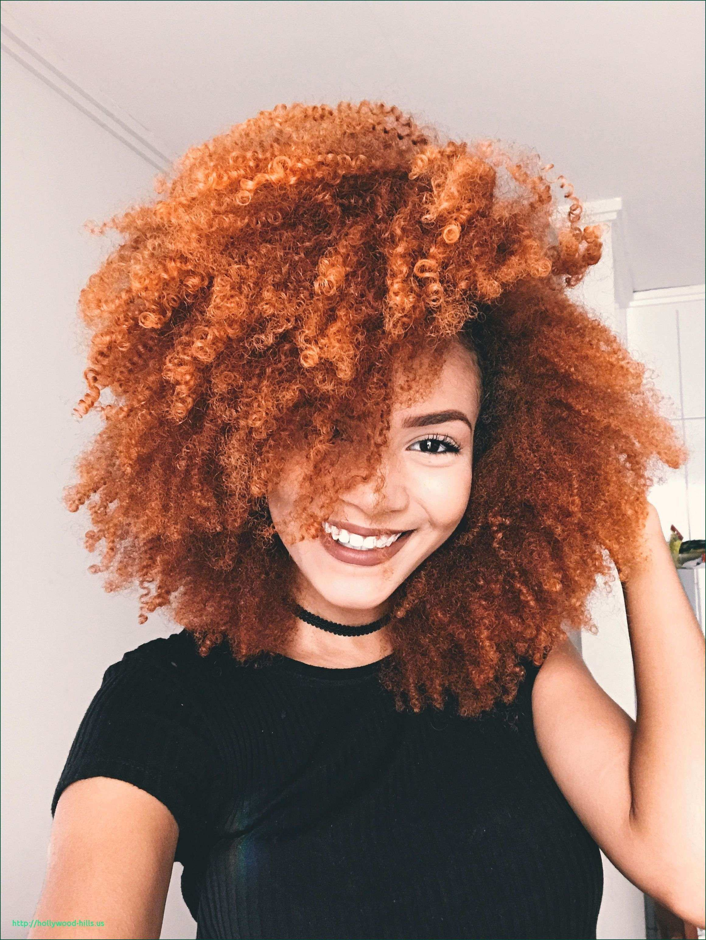 Orange and Brown Giant Spiral Curls