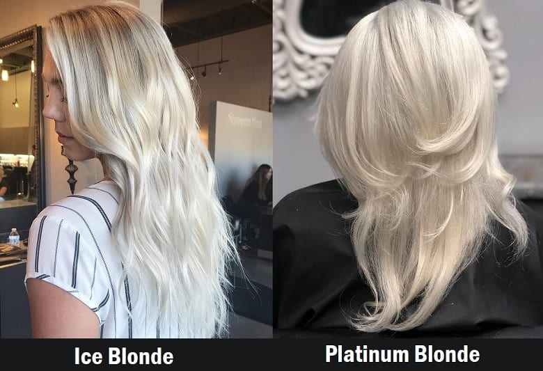 Ice Blonde Vs. Platinum Blonde