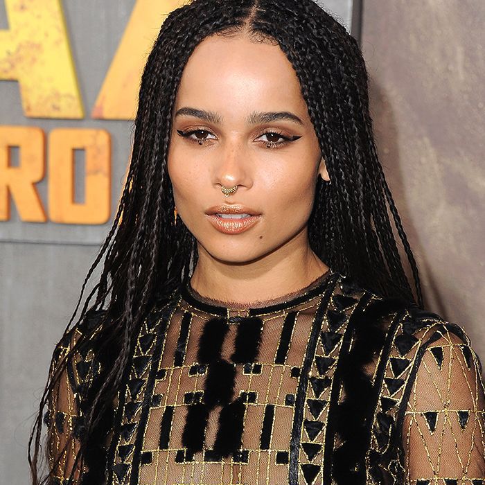 Middle Parted Box Braids Hairstyle