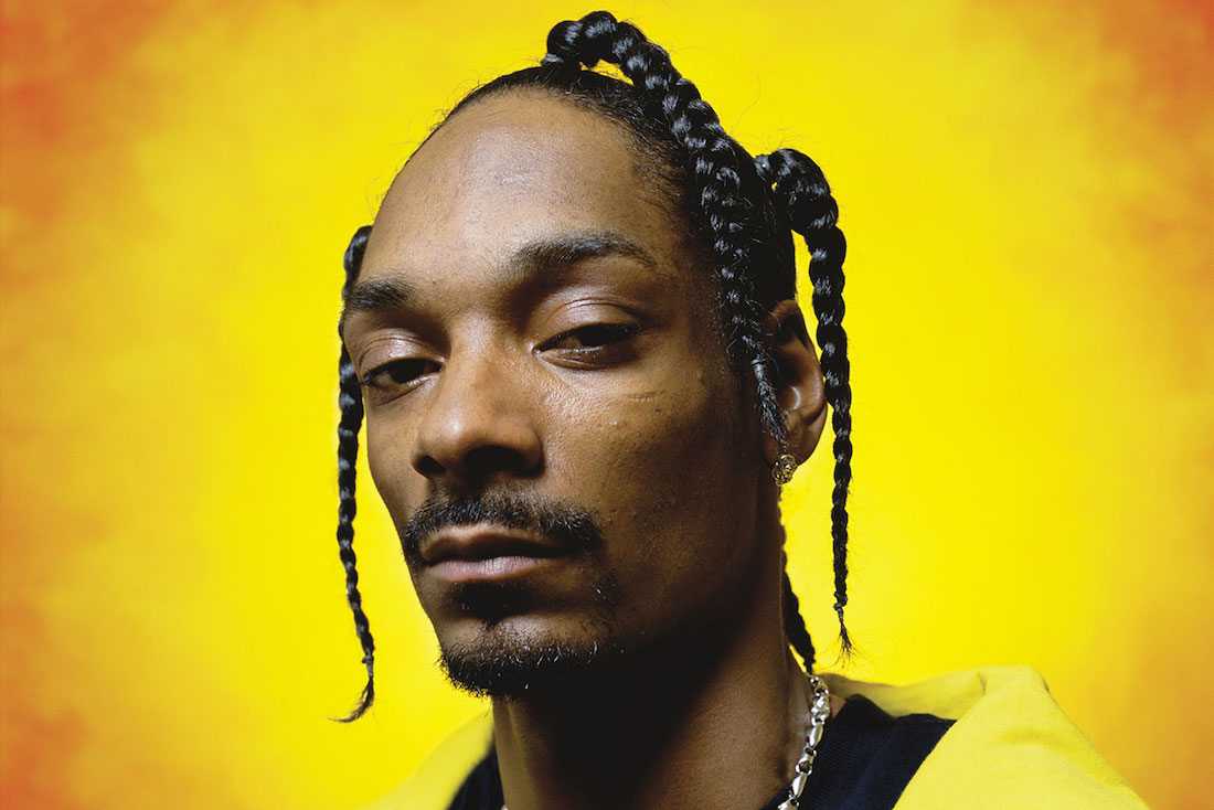 Snoop Dogg Style Braids