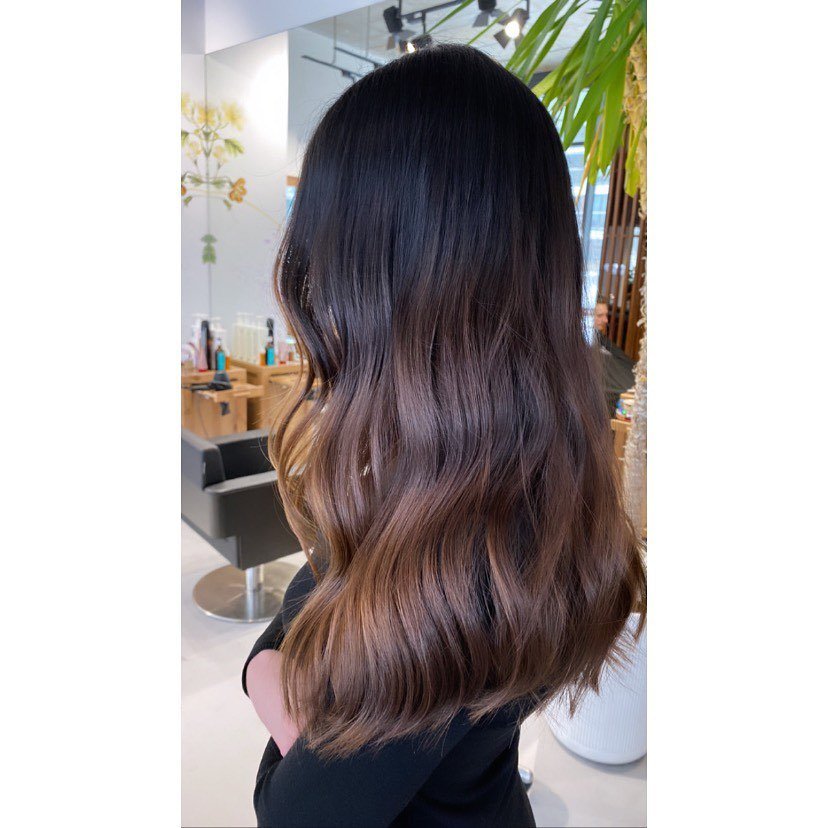 Brown Ombre